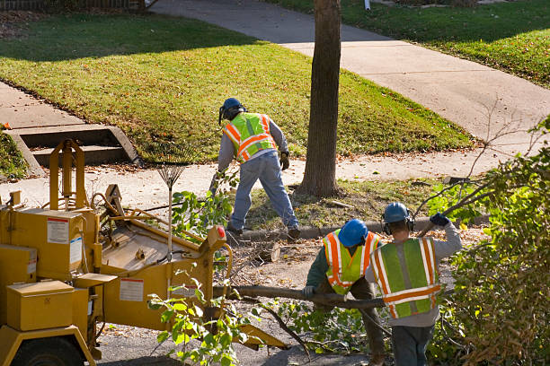 Best Tree Mulching  in Home Garden, CA