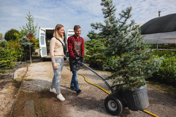  Home Garden, CA Tree Care Services Pros