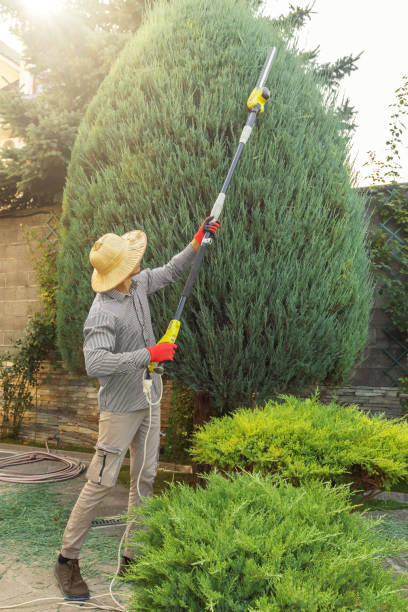 Best Hedge Trimming  in Home Garden, CA